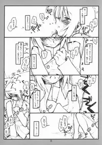 (SC28) [bolze. (rit.)] Miscoordination. (Mobile Suit Gundam SEED DESTINY)