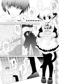 (C77) [Neko Kinryouku (NekoNeko)] Koneko no Gohoushi