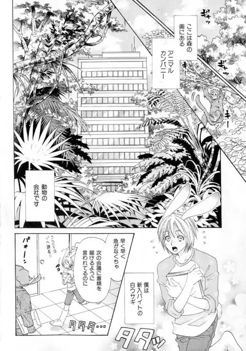 b-BOY Phoenix Vol.6 Gijinka Tokushuu