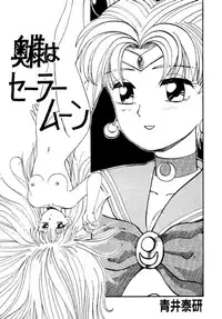 (C48) [Pikopiko Rando (Fuji Katsupiko)] Pikopiko Rando EX