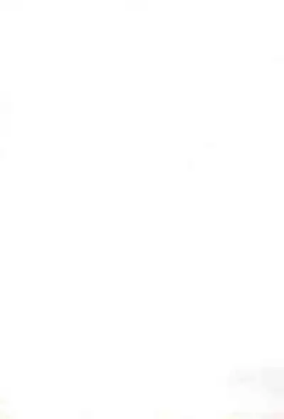 Oshibori Kuro Elf-san