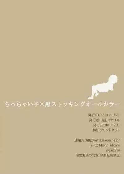 Chicchai Ko x Kuro Stocking All Color