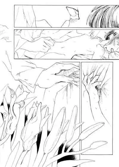 [Mubi Yuno] Day Lily