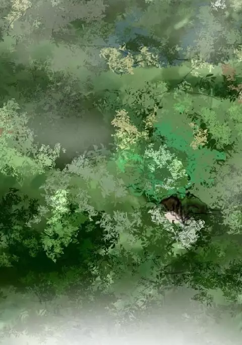 Aharoo Ch.1-18