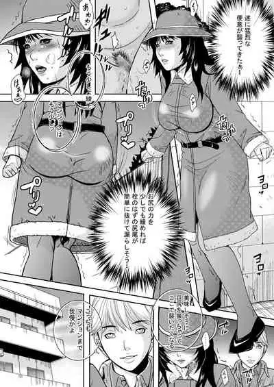 Hitozuma no Himitsu - Ayako Soushuuhen