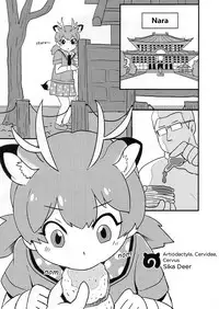 (FF32) [Kazbox (Kazma)] FXXK YOU KADOKAWA (Kemono Friends) [English]