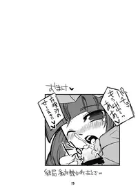 (SC39) [Tokyo Glider (Ura Dramatic)] Kite Mite Sawatte Mite (Touhou Project)