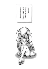 (C73) [Syouzyo Plus (Minamoto Shizucca)] Syouzyo Plus Volume 005 CROSS