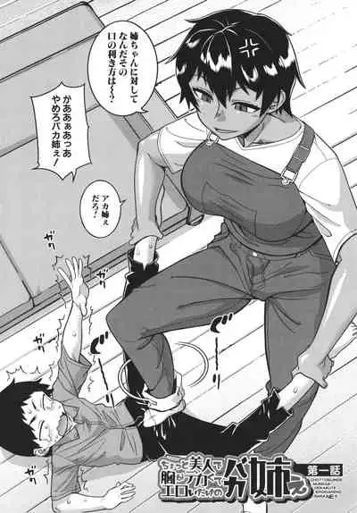 [Takatsu] Chotto Bijin de Mune ga Dekakute Eroi dake no Baka Nee