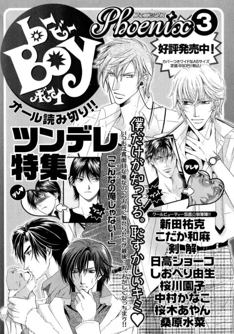 b-BOY Phoenix Vol.5 Bishonure Tokushuu