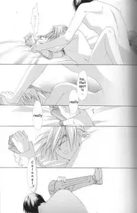 [Ronno & Kalus (Takada Bambi)] Hermaphrodite 3 (Fullmetal Alchemist) [English] [Secret Garden]