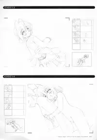 Bra-Ban Visual Fanbook