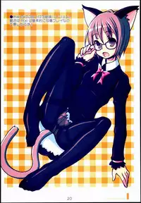 (C72) [Kimarinet (kimarin)] Dokidoki Meganekko!!