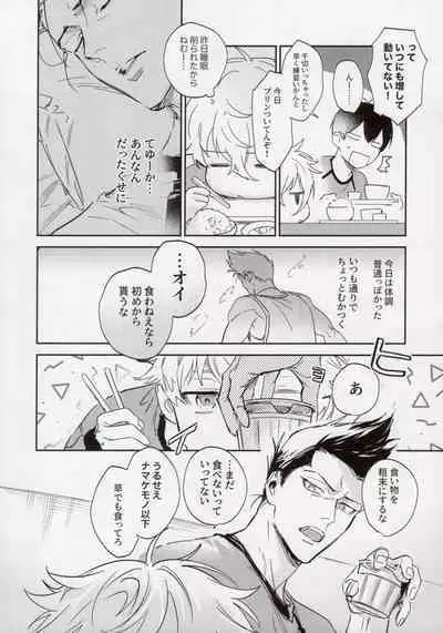 OPPOSITE EDGY COLORS