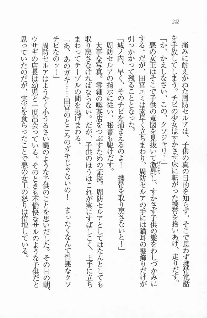 メイド喫茶 猫の隠れ家