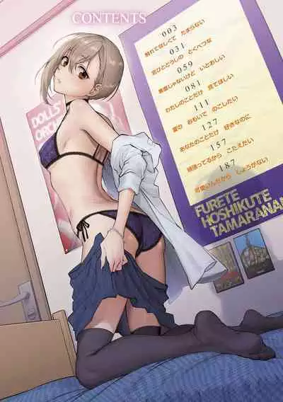 [消火器] ふれてほしくて たまらない 未来數位、eve個人拼接版 無修正 DL版