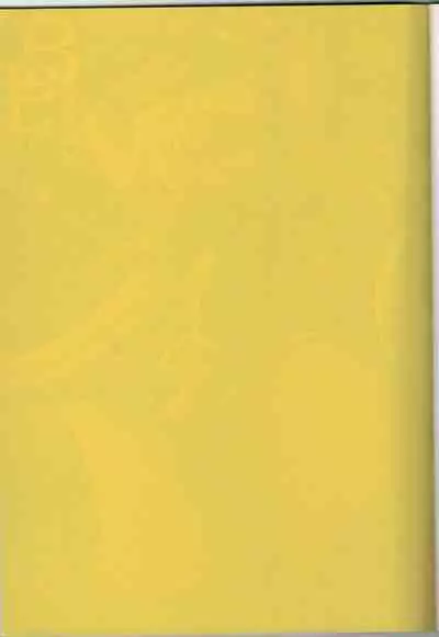 [Tekkyuu Chain (Kirimomi Shoot)] BREAK PHOENIX (Mahou Shoujo Lyrical Nanoha)