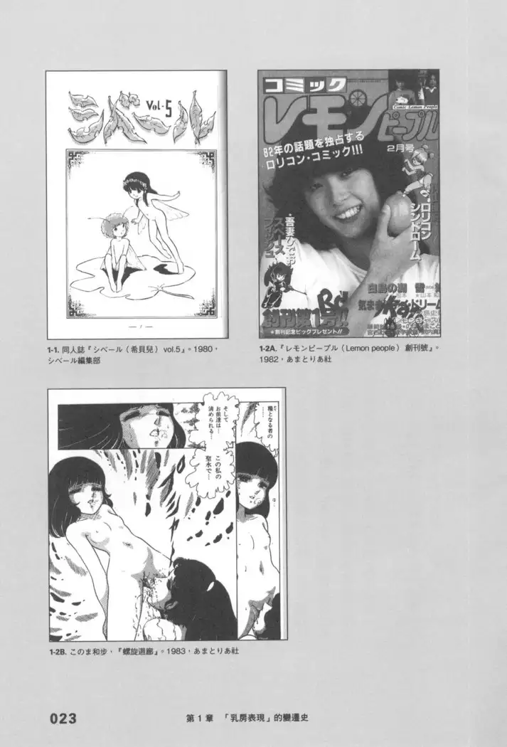 Ero Manga Hyogen Shi | 成人漫畫表現史