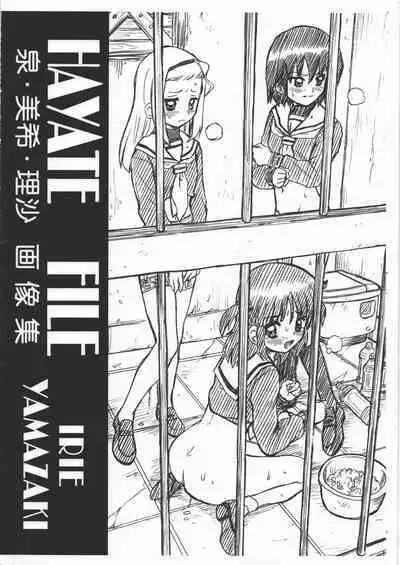HAYATE FILE - Izumi Miki Risa Gazoushuu