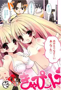 [Nekoyashiki Nekomaru] Sugar Spot