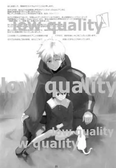 (C81) [Nankotsu Age Rice (kyo1)] Yawaraka na Kizuato (Fate/Zero)