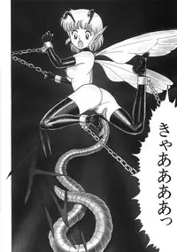 [Kondom] Bondage Fairies Zannin Shimai