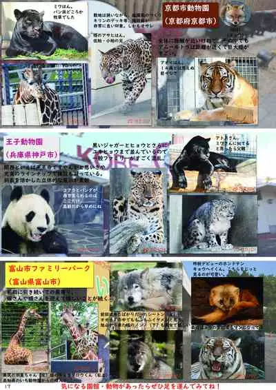 may Kemono Friends Thre Goudoushi 2