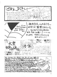 [MELT-DOWN (Tukumo Keiichi)] Wiege II (Saint Tail, Tobe Isami, Rayearth, Evangelion)