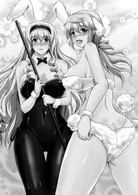 [Shouchuu MAC (Hozumi Kenji)] Poodle & Bunny Time (IS <Infinite Stratos>) [English] {Tigoris Translates} [Digital]