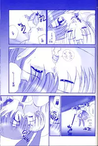 [Studio PAL (Hazuki Kaoru, Nanno Koto)] Rio Premium (Super Black Jack)