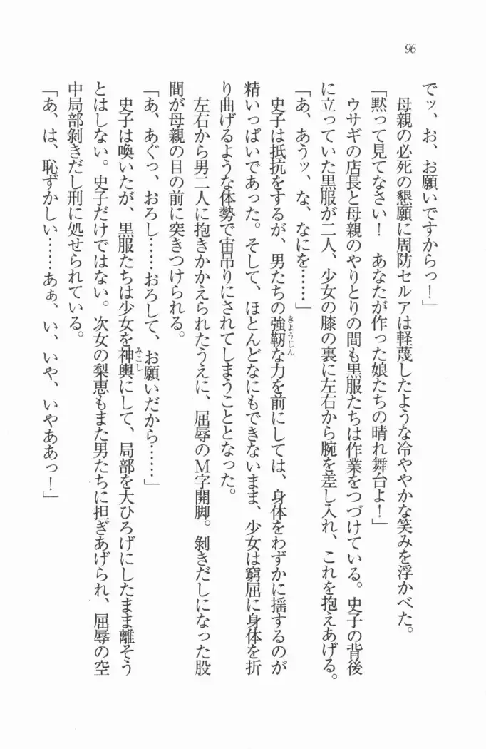 メイド喫茶 猫の隠れ家