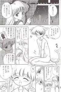 [BLACK DOG (Kuroinu Juu)] Star Platinum (Bishoujo Senshi Sailor Moon)