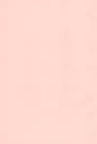 (C77) [Byousatsu Tanukidan (Saeki Tatsuya)] Nekokan Usagikan (Anyamaru Tantei Kiruminzoo)