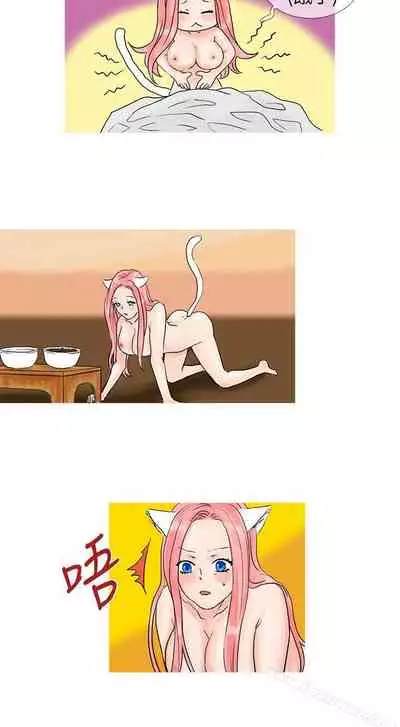 小野貓馴服手冊