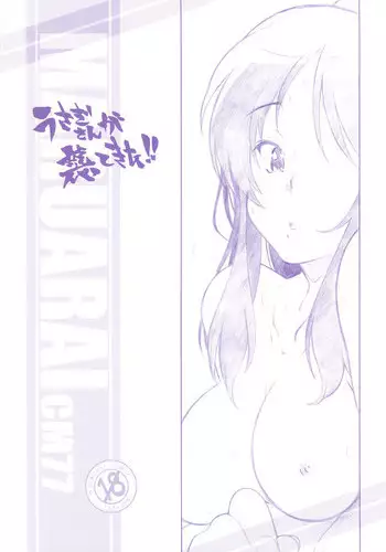 (C77) [maruarai]Usuagi-san ga kishyuttekita!!