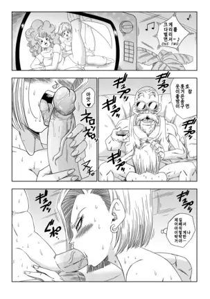 18-gou vs Kame Sennin | Android n18 VS Kamesennin (decensored)