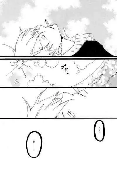 Heliotrope |日光菊