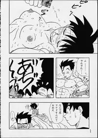 (C49) [Chirigami Goya / Fusuma Goten] Z (Dragonball)