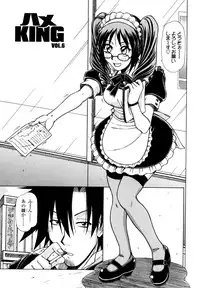 [Hagane Tetsu] Hame King