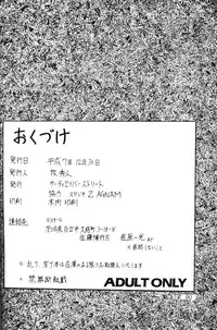 [Thirty Saver Street & Studio Z-Agnam] 2D Shooting (Sailor Moon) [English]