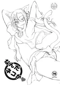 (SC45)[Kohakutei (Sakai Hamachi)] Nanda Neko ka (Rebuild of Evangelion)