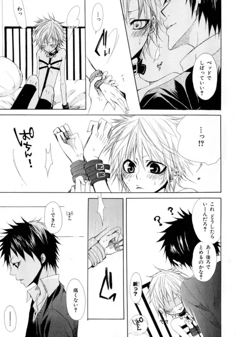 b-BOY Phoenix Vol.10 Odougu Tokushuu