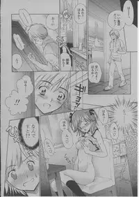 COMIC Momohime 2004-03