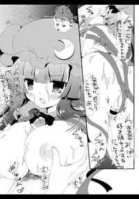 (C84) [Setoran (Itou Seto, Tanno Ran)] Adessa Adessa (Touhou Project)