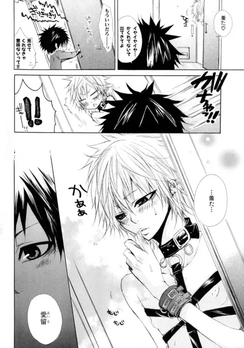 b-BOY Phoenix Vol.10 Odougu Tokushuu