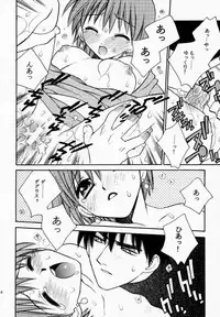 (C59) [Totsugeki Wolf (Yuhki Mitsuru)] Prince & Princess (Atelier Iris: Eternal Mana)