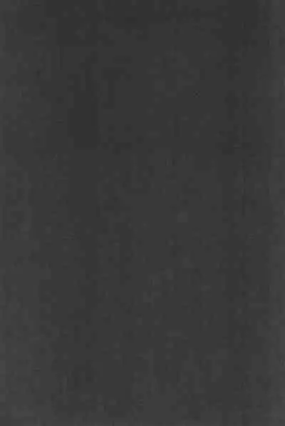 Speed Star no Yuuutsu