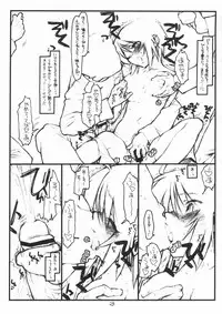 (SC28) [bolze. (rit.)] Miscoordination. (Mobile Suit Gundam SEED DESTINY)