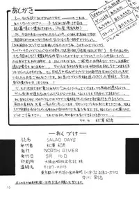 (CR25) [NORTH RIVER (Akizawa Kazuhito)] SALAD DAYS (Pastel Chime)