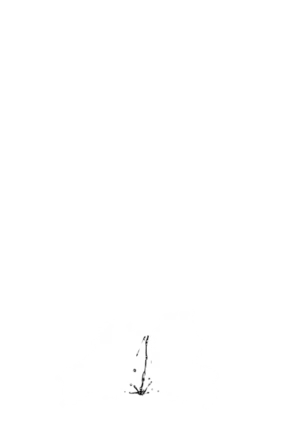 Yuuka-Chirabatta Daiyoukai no Kakera-